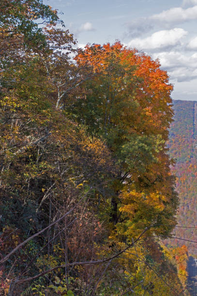 A splash of orange and yellow colors on the side of a mountain in southeastern Kentucky. Autumn leaves on a cliffside add to the splendor at Kingdom Come State Park, located in Harlan County, in southeastern Kentucky. The park covers nearly 1,300 acres and has an elevation of 2,700 feet. It has overlooks, hiking trails, picnic areas, and a small lake. splash mountain stock pictures, royalty-free photos & images