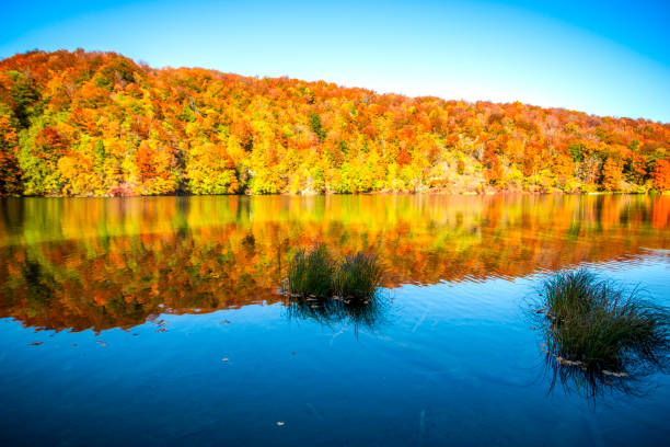 istock Autumn landscape , Croatia 1186379993
