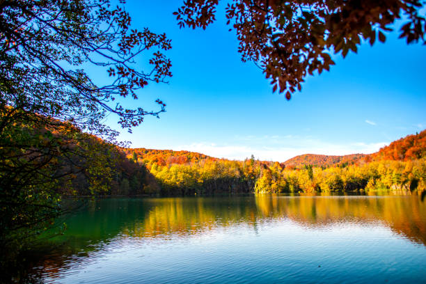 istock Autumn landscape , Croatia 1186379998