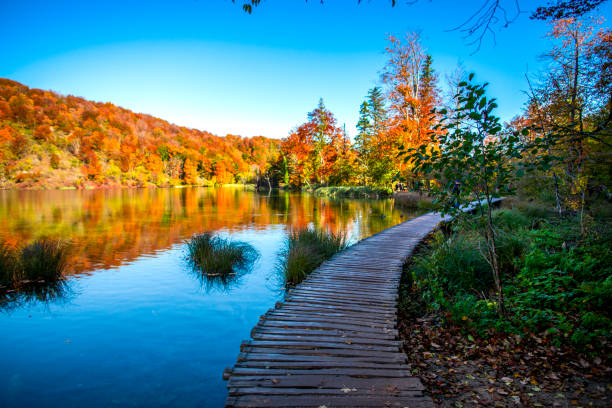 istock Autumn landscape , Croatia 1186380016