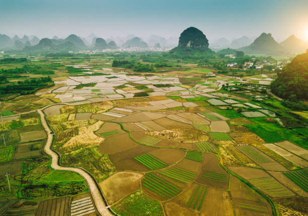 istock Rice fields scenery karst landscape of Guilin, China 1186380166
