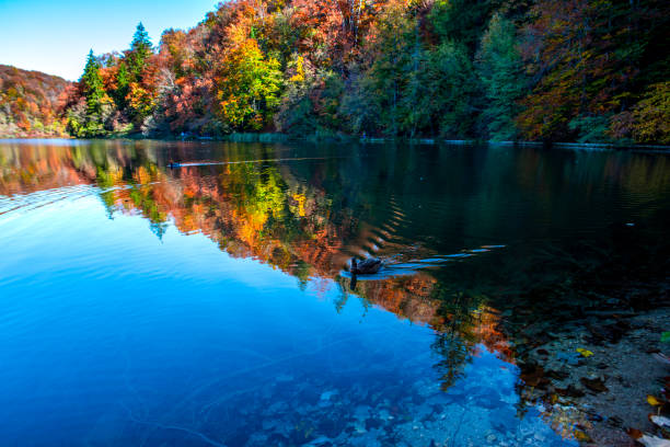 istock Autumn landscape , Croatia 1186381335