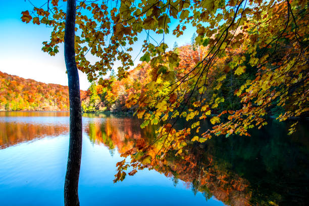 istock Autumn landscape , Croatia 1186381555