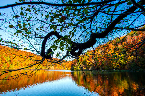 istock Autumn landscape , Croatia 1186381745
