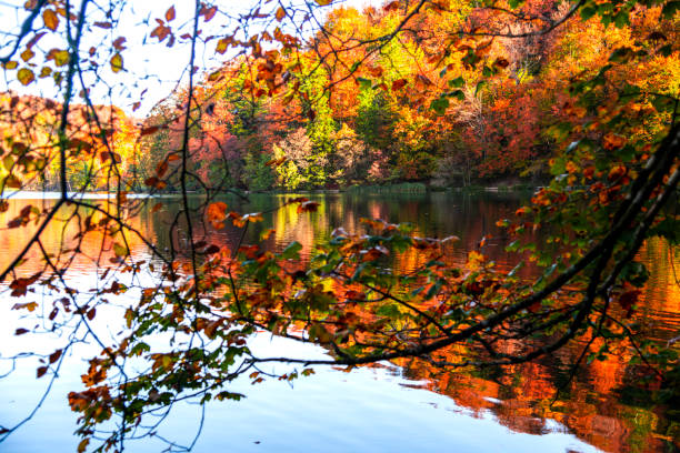 istock Autumn landscape , Croatia 1186382522