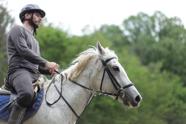 istock Young man is enjoying horseback riding in nature 1186382713