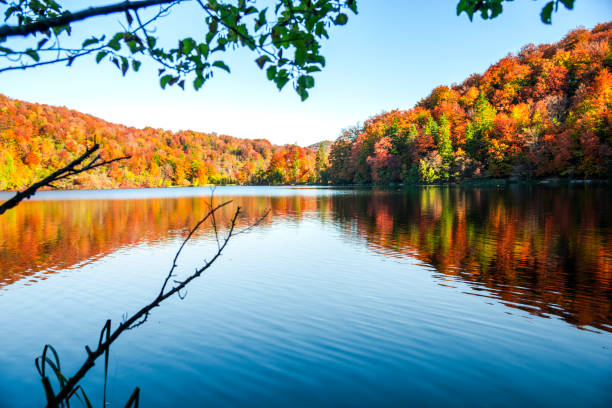 istock Autumn landscape , Croatia 1186383537