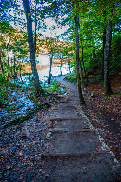 istock Autumn landscape , Croatia 1186384639