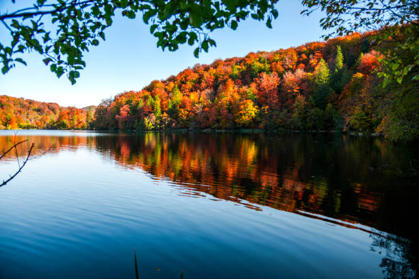 istock Autumn landscape , Croatia 1186385365