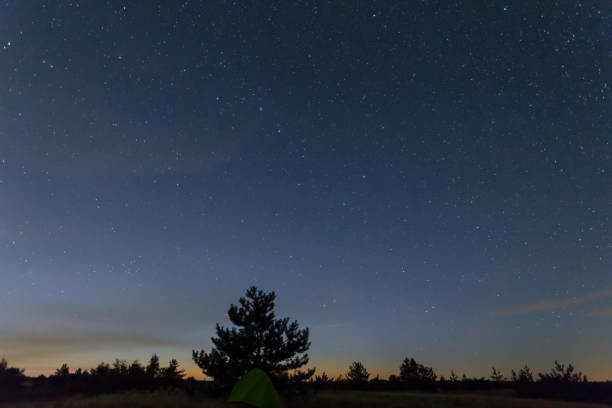 istock night outdoor scene, starry sky above prairie and forest silhouette 1186385414