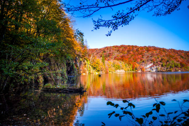 istock Autumn landscape , Croatia 1186385561