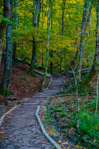 istock Autumn landscape , Croatia 1186385612