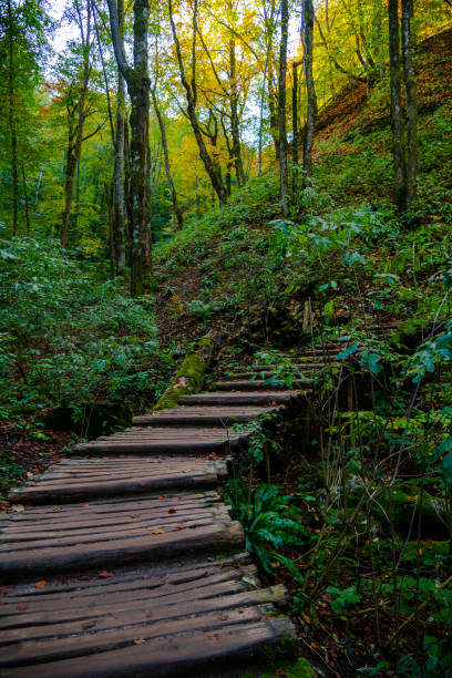 istock Autumn landscape , Croatia 1186385623