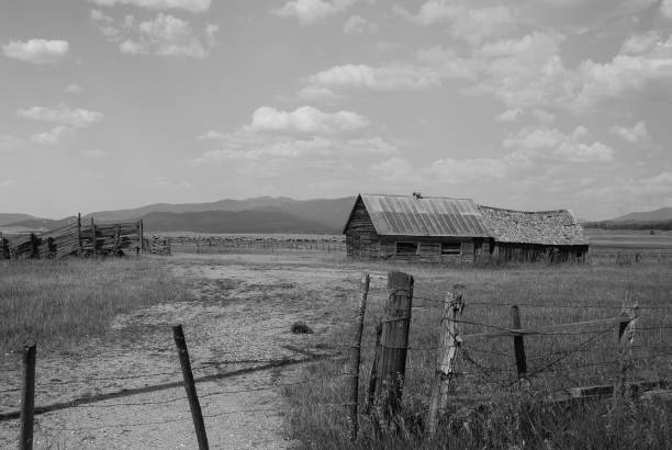 istock House in a Field B&W 1186391533
