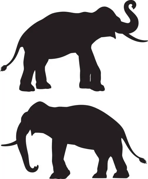 Vector illustration of Elephants Silhouettes