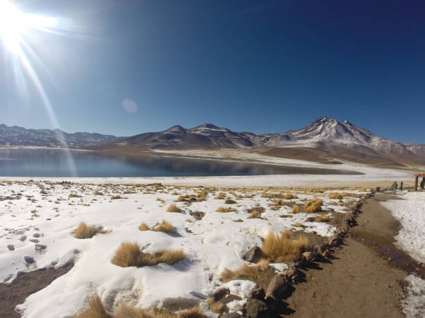 istock Atacama Desert - Nothern Chile 1186391851