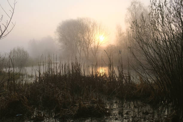 istock Misty morning on the river. Dawn 1186392922