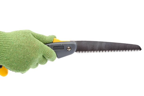 istock Folding garden saw in hand with glove 1186393193