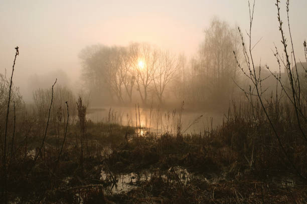 istock Misty morning on the river. Dawn 1186394148