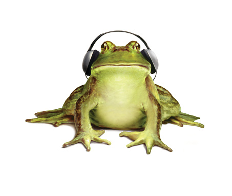 Studio shot of a frog with headphones against a white background.