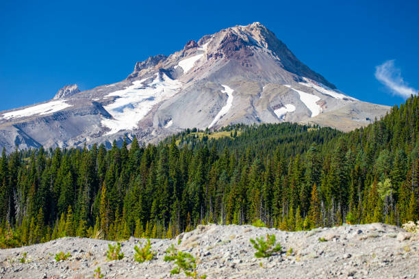 istock Mount Hood In Oregon, USA 1186399820