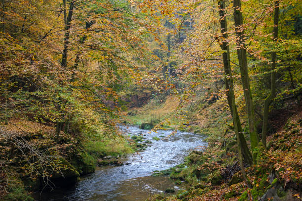 istock Autumn moments 1186401560