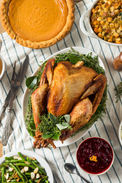 istock Homemade Thanksgiving Turkey Dinner with Potatoes 1186407405