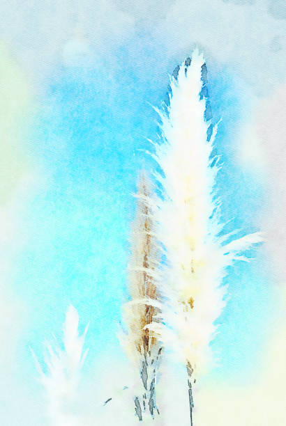 istock Watercolor Illustration of Pampas Grass 1186422367