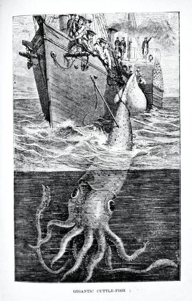 ilustrações, clipart, desenhos animados e ícones de os homens-marinhos que transportam em peixes míticos gigantes do cuttle, lula gigante - black and white people imagination underwater