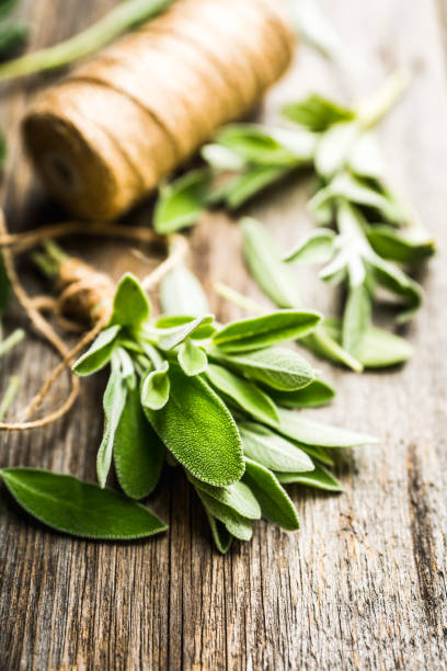 istock Bunch of fresh green sage leaves on the rustic background 1186435304