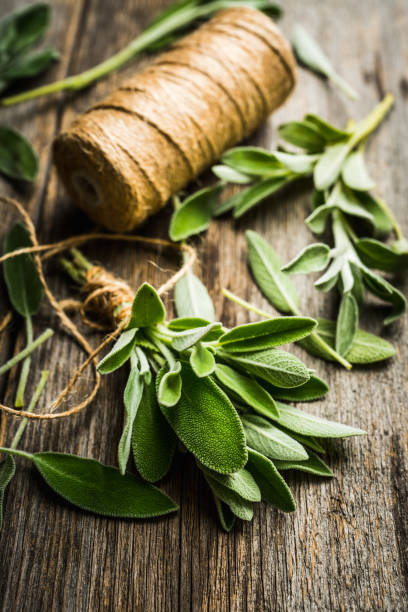 istock Bunch of fresh green sage leaves on the rustic background 1186435308