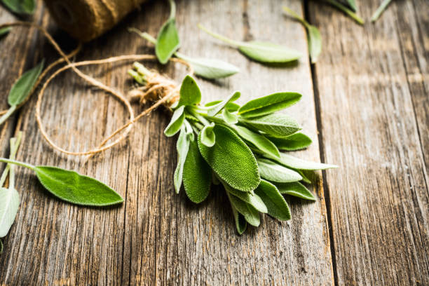 istock Bunch of fresh green sage leaves on the rustic background 1186435310