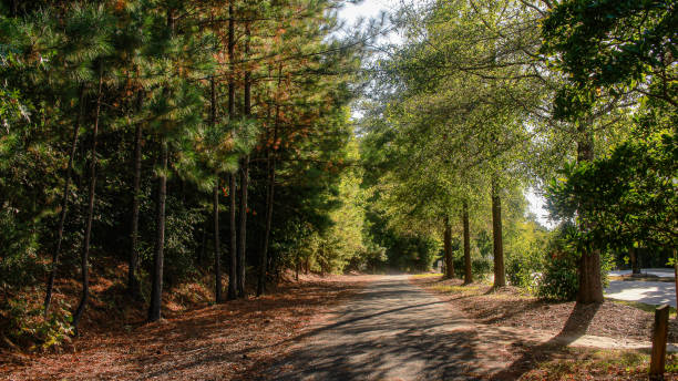 tega cay drive trail in south carolina in una bellissima giornata di sole in autunno - epg foto e immagini stock