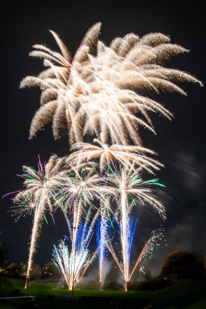 istock Large fireworks in formation illuminating the sky 1186437799