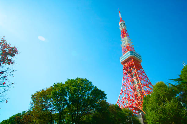 istock Japan's beautiful Tokyo Tower and blue sky 1186445136