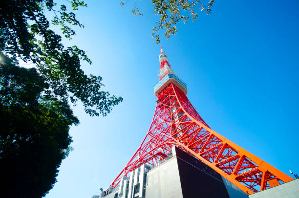 istock Japan's beautiful Tokyo Tower and blue sky 1186445144