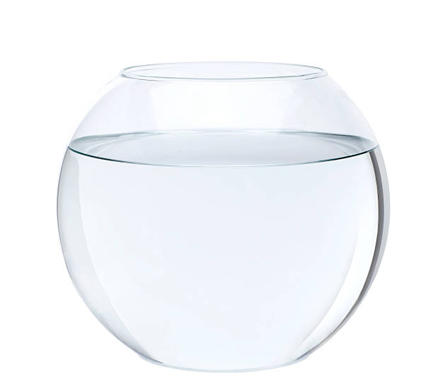 istock Empty fish bowl with water in front of white background 118644964