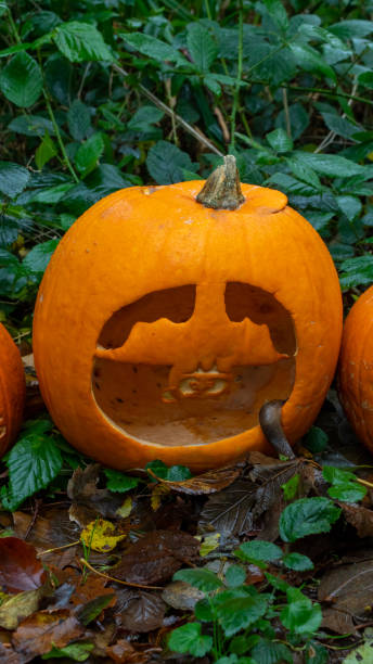 istock Carved pumpkin with a slug coming out 1186451531
