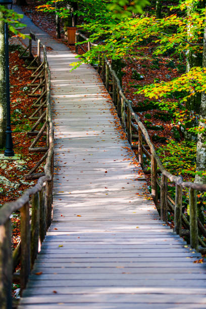 istock Autumn landscape , Croatia 1186453488