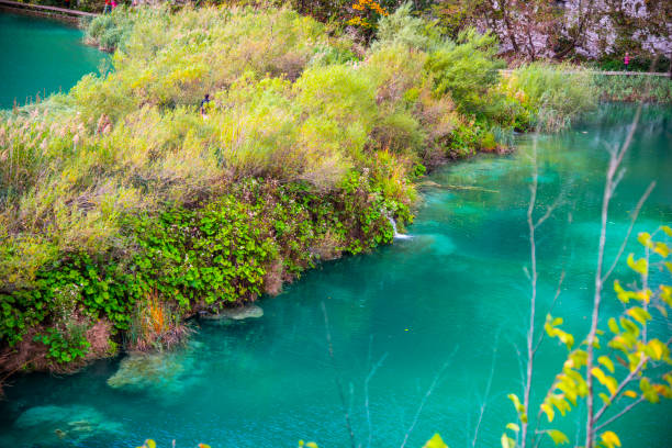 istock Autumn landscape , Croatia 1186454359