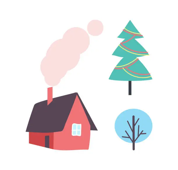 Vector illustration of Decorated Christmas Tree, Winter Plant Icon, House