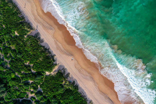 istock Beach aerial view drone shadow people sunrise 1186456671