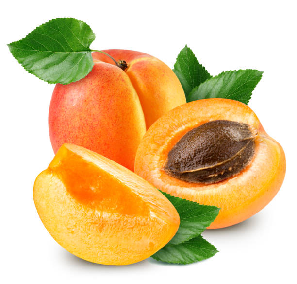 istock apricot fruits isolated 1186461693