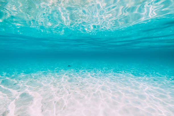 istock Tropical transparent ocean with white sand and water reflection underwater in Hawaii 1186467390