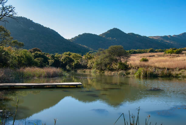 el paisaje rural alrededor de emanzana (anteriormente badplaas) en la provincia de mpumalanga, sudáfrica - provincia de mpumalanga fotografías e imágenes de stock