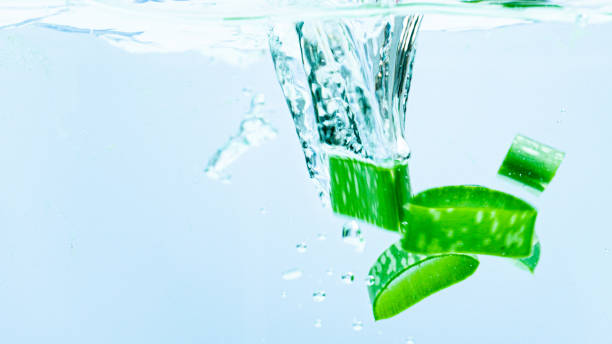 istock Fresh aloe vera on white background 1186469083