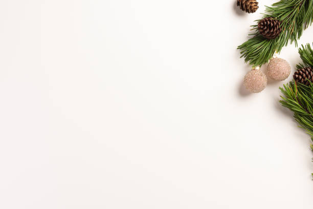 Minimal Christmas concept. Spruce branches with cones, on a white background. Flat lay, top view, copy space. stock photo