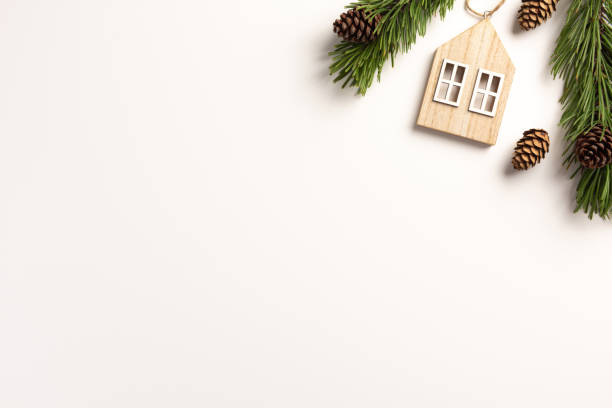 istock Minimal Christmas concept. Spruce branches with cones, on a white background. Flat lay, top view, copy space. 1186469291