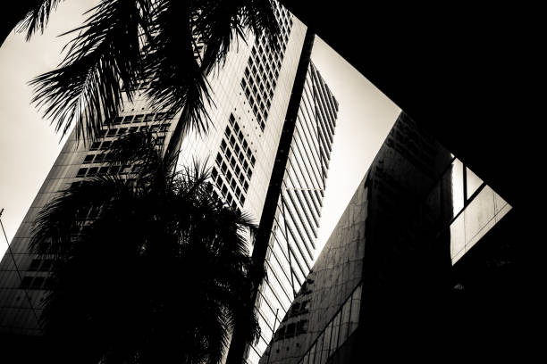 istock close up building facade with palm tree 1186474066