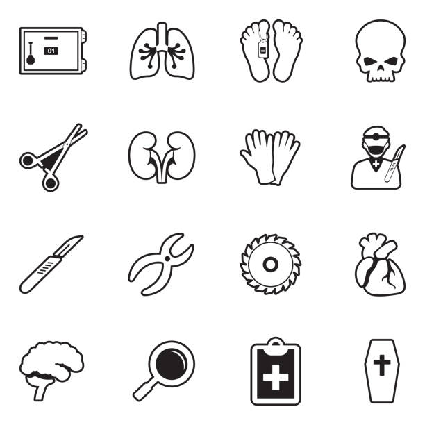 ilustrações de stock, clip art, desenhos animados e ícones de morgue icons. line with fill design. vector illustration. - coroner